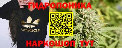 хмурый Краснознаменск