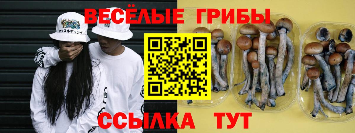 Вольск  Галлюциногенные грибы ЛСД  Вход с VPN 